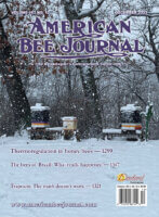 ABJ December 2023 cover