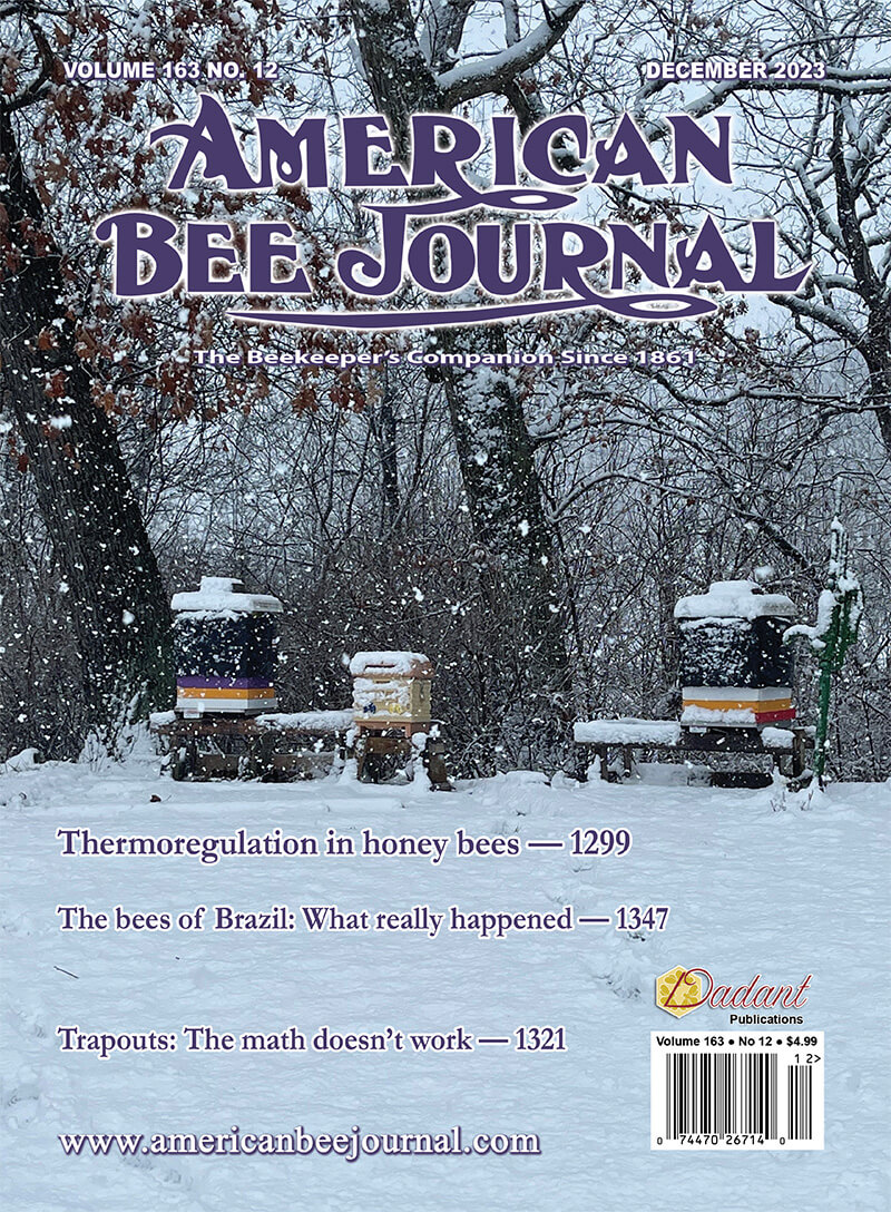 ABJ December 2023 cover