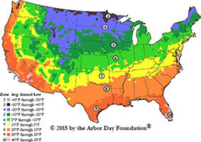 regional breakdown for beekeeping tasks map