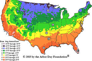 regional breakdown for beekeeping tasks map