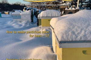 ABJ_January2024-cover