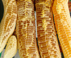 comb honey