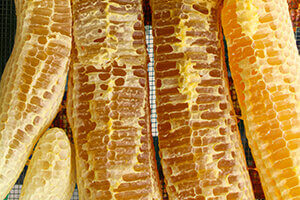 comb honey