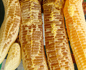 comb honey
