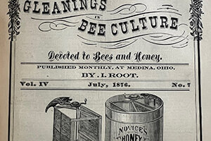 old honey extractor