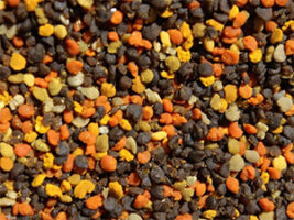 pollen identification