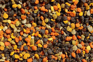 pollen identification