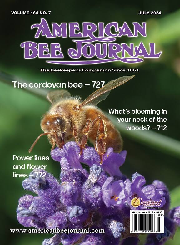 A Cordovan Bee perched on a purple flower. Cover callouts: The cordovan bee -pg.727, What's blooming in your neck of the woods? - pg, 712, and Power Lines and flower lines - pg.772