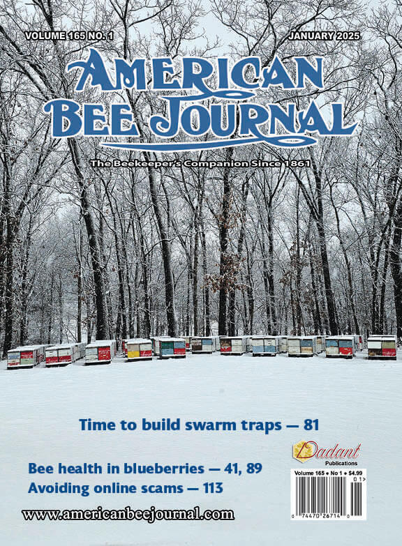 American Bee Journal January 2025 Cover: A snow covered field in the foreground, with multicolored hives with snow on top in the middle-ground and bare trees in the background.