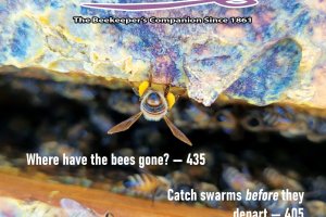 American Bee Journal Volume 165 No. 4 April 2025