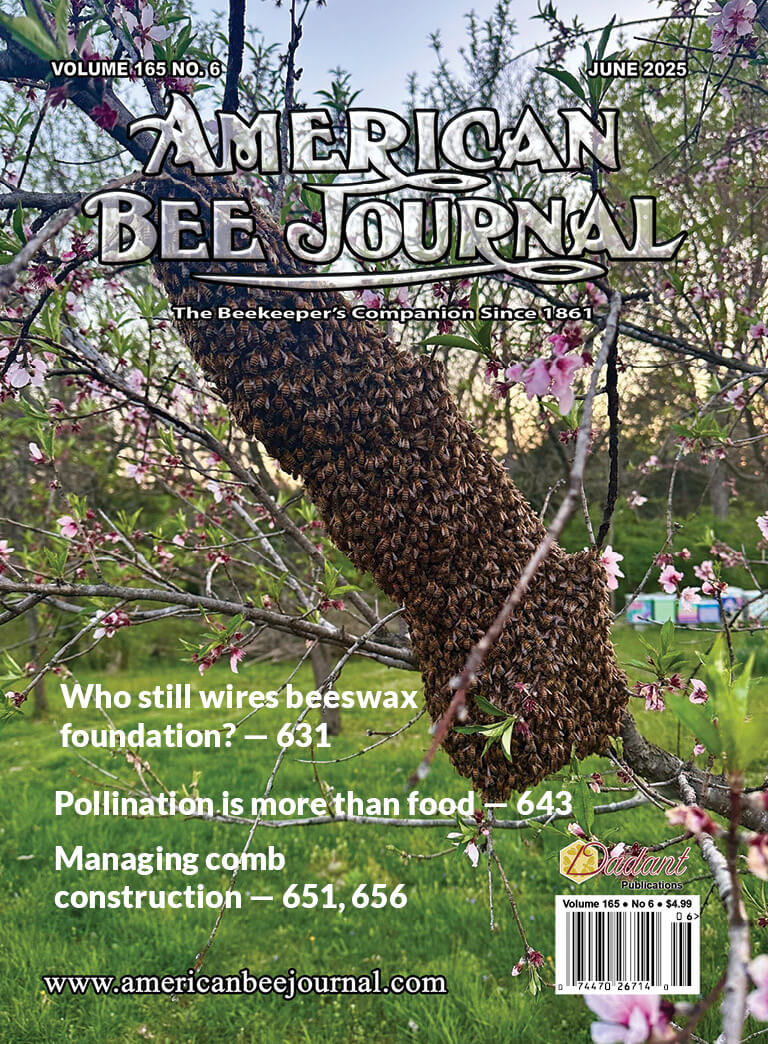 American Bee Journal June 2025 Cover Cover Callouts: Who still wires beeswax foundation - 631, Pollination is more than food - 643, Managing comb construction - 651, 656 The cover depicts a swam clinging to a branch that goes horizontal across the cover. The tree has pink blooms and new leaves growing and several multi-colored hive boxes can be seen in the background.