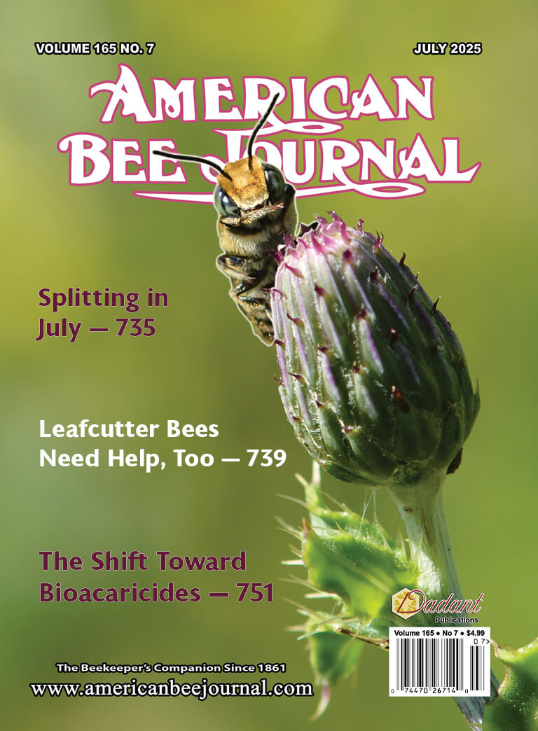 American Bee Journal Volume 165 No. 7 July 2025 Alfalfa Leafcutter bee on a thistle. Callouts: Splitting in July - 735, Leafcutter Bees Need Help, Too - 739, The Shift Toward Bioacaricides - 751