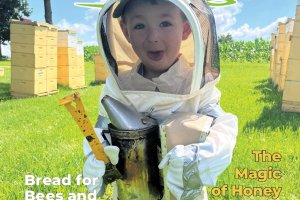 American Bee Journal Volume 165, No. 8 August 2025 Cover. Call-outs: Bread for Bees and People - 853, Ants and the Beekeeper - 909. The Magic of Honey - 919 Cover depicts a little boy dressed in a beekeeping suit holding a smoker and a hive tool, sticking his tongue out at the camera. Yellow hive boxes can be seen in the background on either side of the boy.