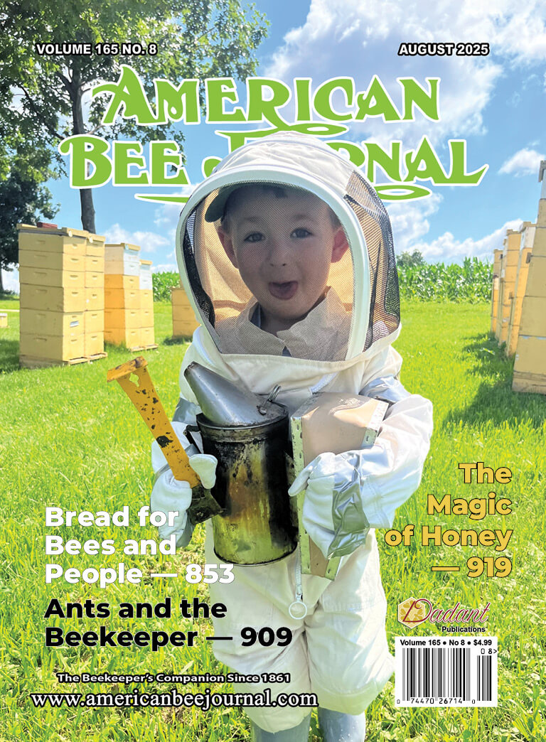 American Bee Journal Volume 165, No. 8 August 2025 Cover. Call-outs: Bread for Bees and People - 853, Ants and the Beekeeper - 909. The Magic of Honey - 919 Cover depicts a little boy dressed in a beekeeping suit holding a smoker and a hive tool, sticking his tongue out at the camera. Yellow hive boxes can be seen in the background on either side of the boy.