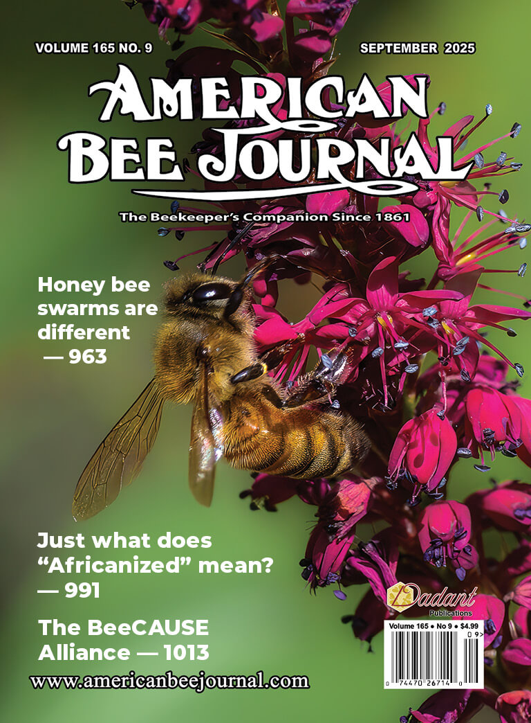 Volume 165, No. 9 September 2025 Cover Features a Bee on a pink flower. Callouts: Honey Bee swarms are different - 963, Just what does "Africanized" mean? - 991, The BeeCAUSE Alliance - 1013
