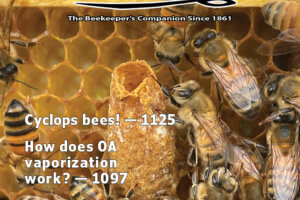 American Bee Journal October 2025 Cover Volume 165, No. 10 Cover Callouts: Cyclops Bees! - 1125, How does OA vaporization work? - 1097, CO2 and bees - 1087