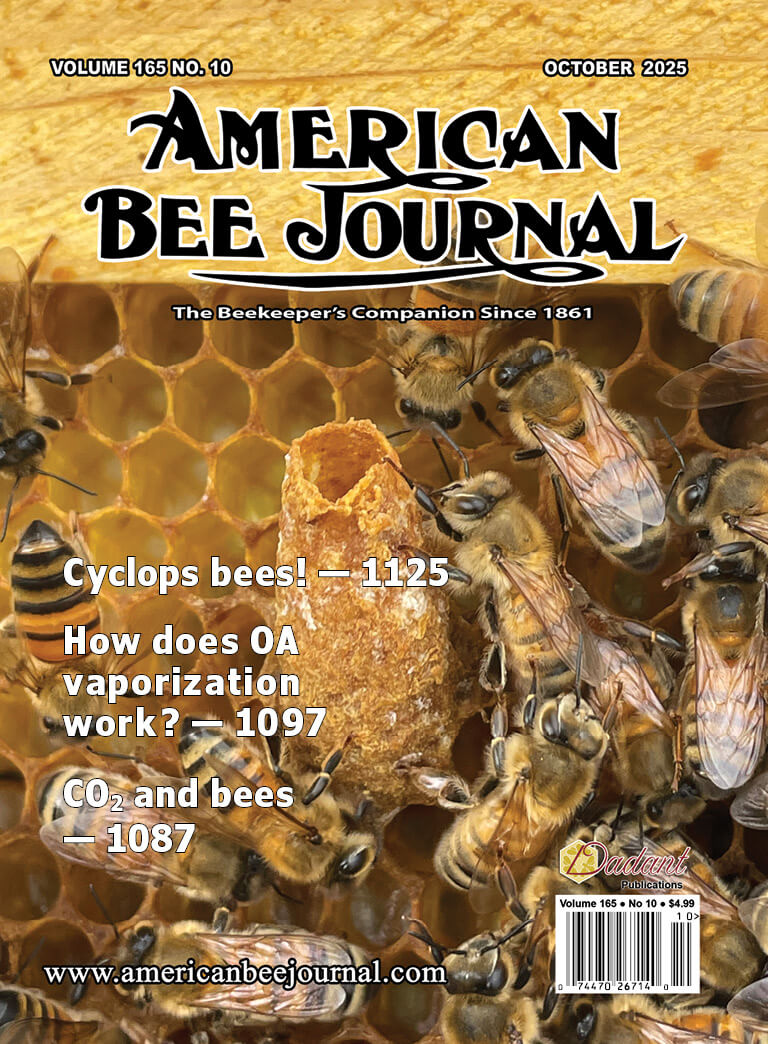 American Bee Journal October 2025 Cover Volume 165, No. 10 Cover Callouts: Cyclops Bees! - 1125, How does OA vaporization work? - 1097, CO2 and bees - 1087