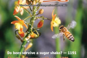 American Bee Journal Volume 165 No. 11 November 2025 Cover Callouts: Do bees survive a sugar shake? - 1191, About sunflowers and bees - 1201, Assessing differences in stinging behavior - 1227