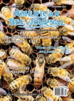 Volume 165 No. 12 December 2025 Cover American Bee Journal. Cover features a queen bee surrounded by worker bees. Cover Callouts: Managing pests and pathogens organically - 1321 Stem cells, weeds, and bees - 1337 Lower-energy beekeeping-1343