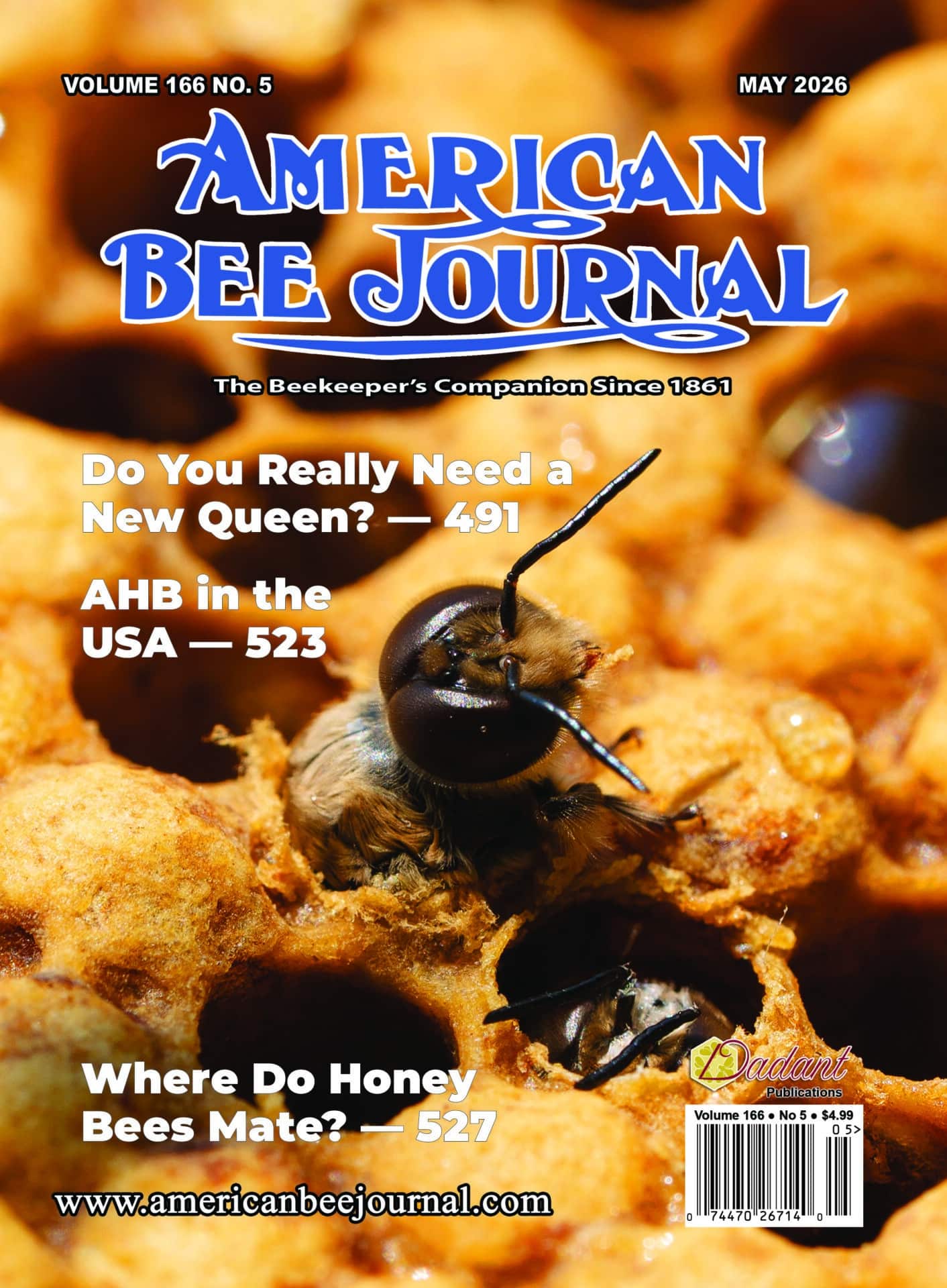 American Bee Journal Volume 166 No. 5 May 2026 Cover features a close up of a drone bee emerging. Calouts: Do you really need a new queen - 491, AHB in the USA - 523, Where do honey bees mater?-527
