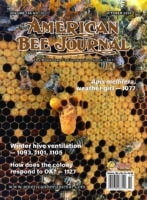 American Bee Journal Volume 166 No. 10 October 2026 Cover Cover Callouts: Apis mellifera, weather girl - 1077, Winter hive ventilation - 1093, 1101, 1105, How does the colony respond to OA? - 1127 Cover shoes a frame of brood with a queen cell and several bees near the center of the frame.