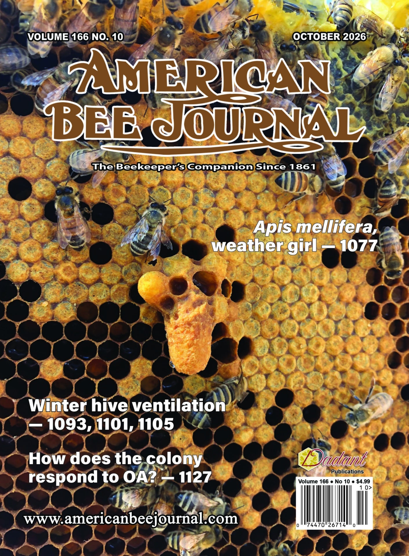 American Bee Journal Volume 166 No. 10 October 2026 Cover Cover Callouts: Apis mellifera, weather girl - 1077, Winter hive ventilation - 1093, 1101, 1105, How does the colony respond to OA? - 1127 Cover shoes a frame of brood with a queen cell and several bees near the center of the frame.